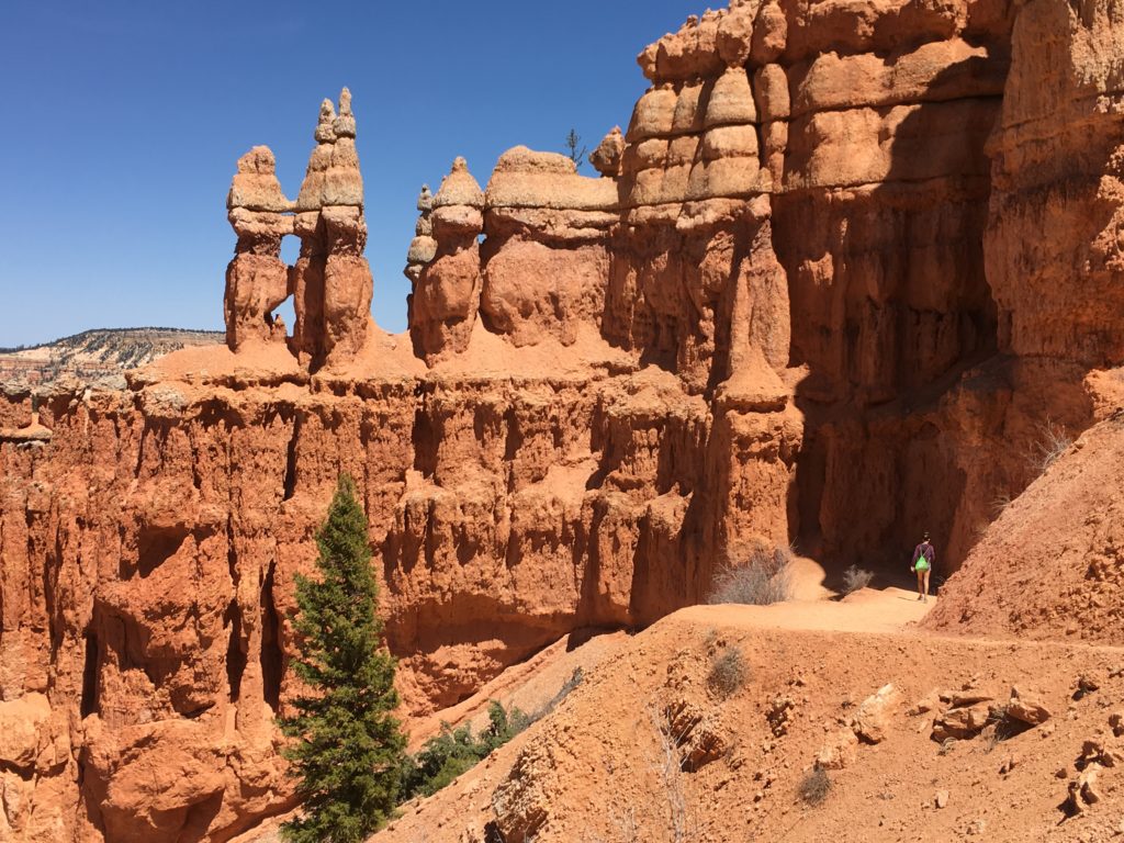 Bryce canyon NP
